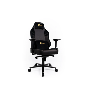 Picture of TTRacing Maxx Gaming Chair - Original TTRacing Malaysia